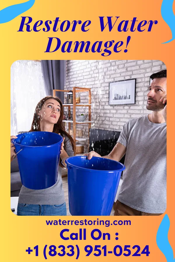 water restoration Global Water Mitigation Masters Somerset