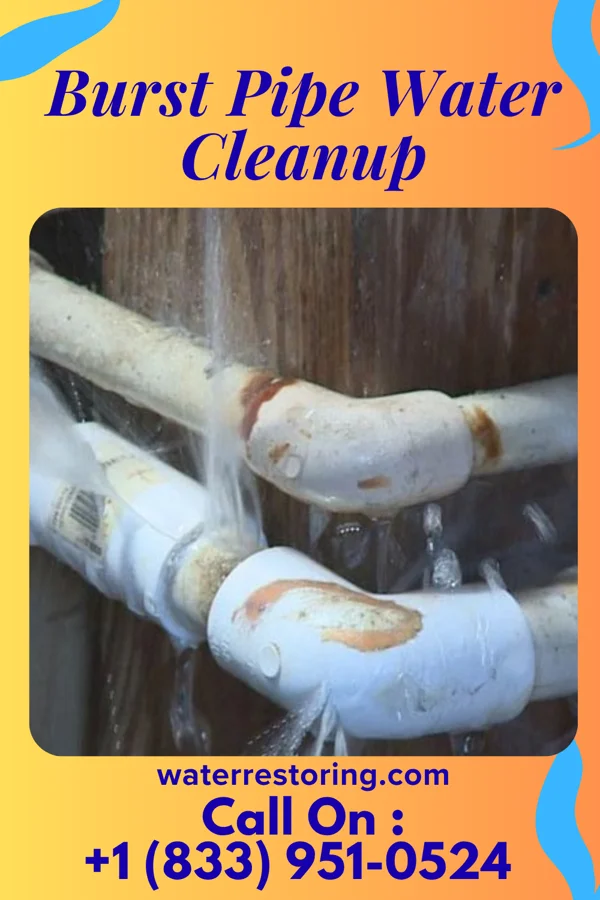Burst Pipe Water Cleanup in Somerset, WI