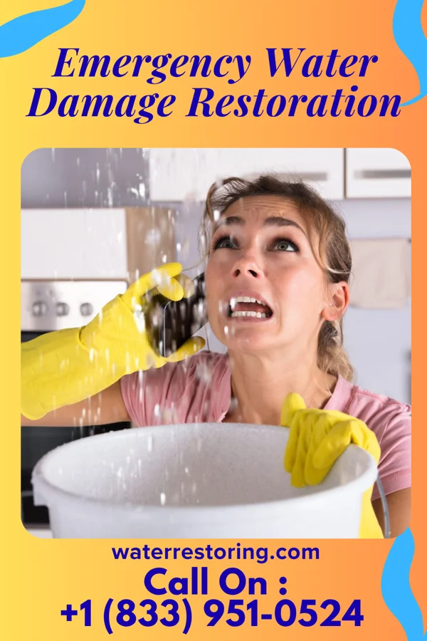 Emergency Water Damage Restoration in Somerset, WI