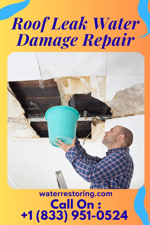 Roof Leak Water Damage Repair in Somerset, WI