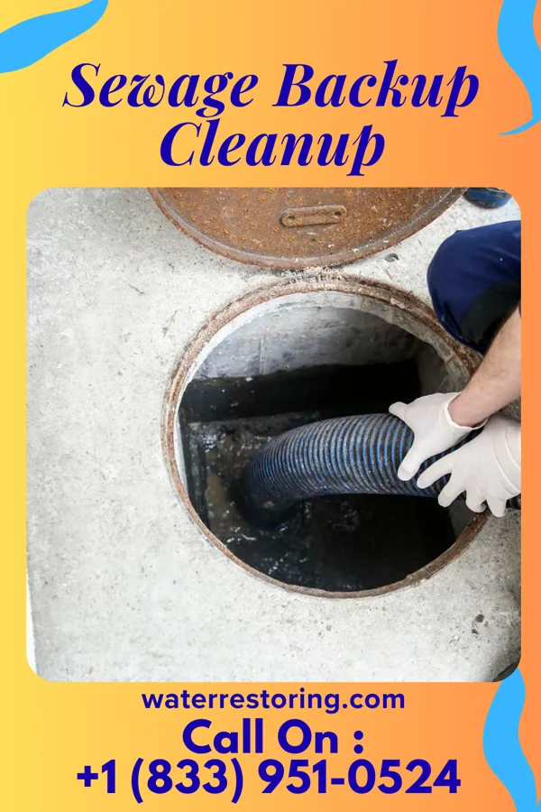 Sewage Backup Cleanup in Somerset, WI